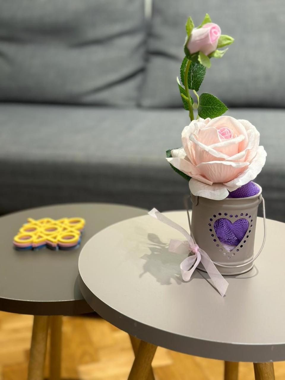 Plaka Nest Apartment *